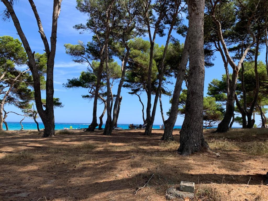 Canyamel Apt 3A Cala Varques 100 Mts From Canyamel Beach Pool Chill-Out Terrace With Awesome Views 외부 사진